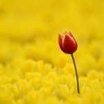 10 tips voor meer onderscheidend vermogen